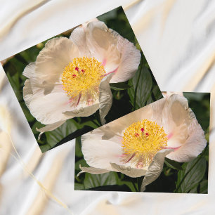 Chinese Witte Pioen Briefkaart