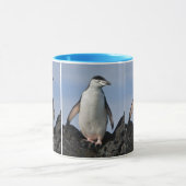 Chinnie Mok (Midden)