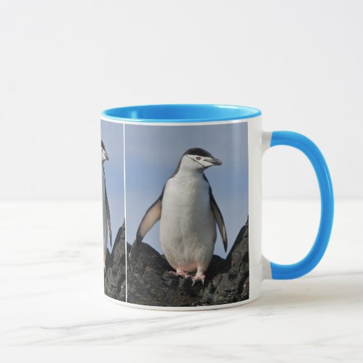 Chinnie Mug (Droite)