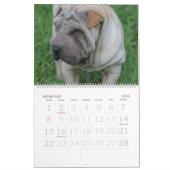 Chinois Shar Pei calendrier de 15 mois (Feb 2026)