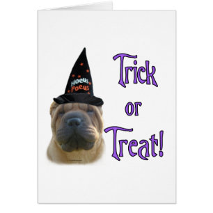 Chinois Shar Pei Trick