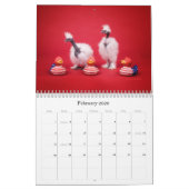 Chinois Silkie et calendrier de fille de scène (Feb 2026)