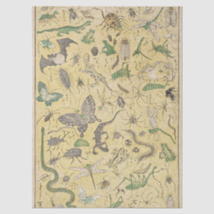 Chinoiserie Japanse Bug & Insect Natuur Poster Tissuepapier