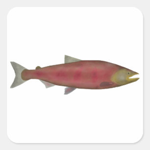 Chinook Salmon - zonnescherm Vierkante Sticker