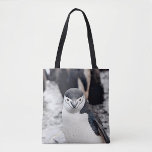 CHINSTRAP PENGUIN DRAAGTAS