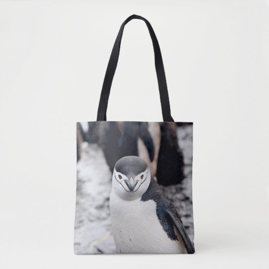 CHINSTRAP PENGUIN DRAAGTAS (Voorkant)