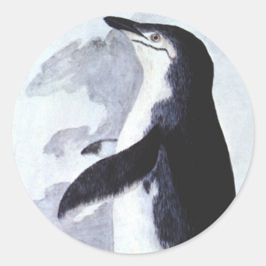  Chinstrap Penguin, vogels uit Antarctica Ronde Sticker (Voorkant)
