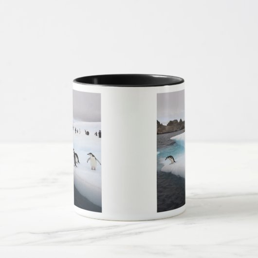 Chinstrap Penguins Mok (Midden)