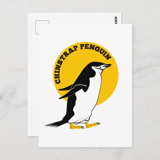 Chinstrap pinguïn briefkaart (Voorkant / Achterkant)