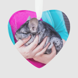 Chinta. Chinchilla Love Ornament