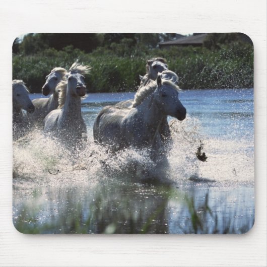 Chintoteague Ponies Crossing Channel Muismat (Voorkant)