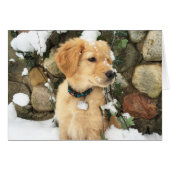 Chiot à neige (Devant horizontal)