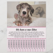 chiot à vendre prospectus modèles (Devant)