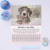 chiot à vendre prospectus modèles (Simple)