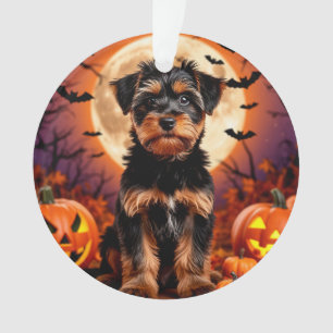 Chiot adorable avec fond Halloween