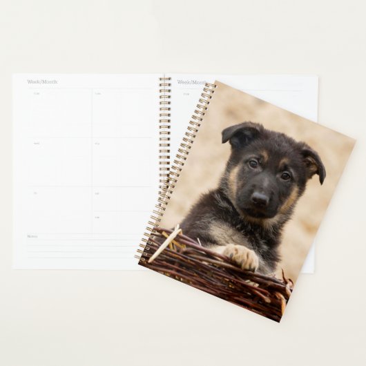 Chiot Allemand En Panier (Devant avec enveloppe)