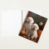 Chiot Bichon Frise Délice d'Automne Citrouille (Devant avec enveloppe)