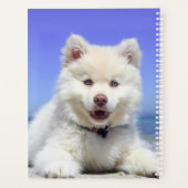 Chiot blanc (Dos)