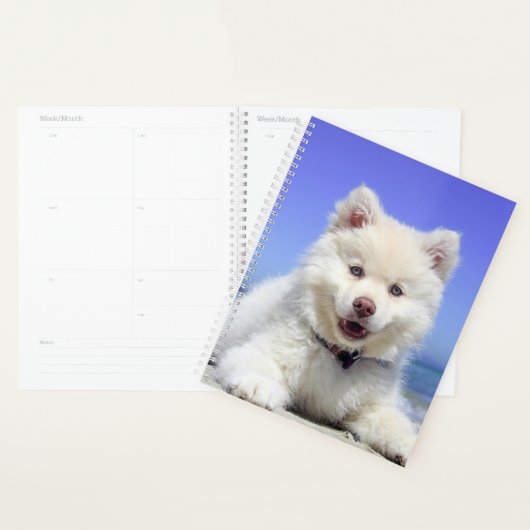 Chiot blanc (Devant avec enveloppe)