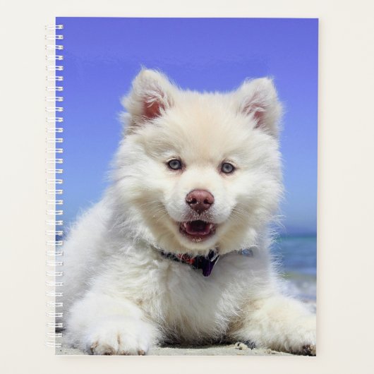 Chiot blanc (Devant)