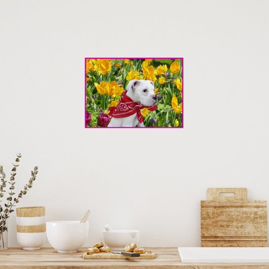 Chiot blanc boxer dans affiche tulips (Cuisine)