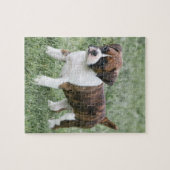 Chiot Brindle voyant de boxeur - puzzle de chien (Horizontal)