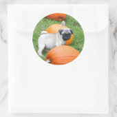 chiot carlin en autocollants citrouille (Sac)