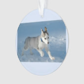 Chiot courant dans la neige (devant)