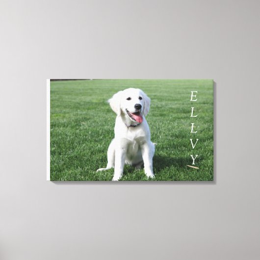 Chiot cutest sur toile (Recto)