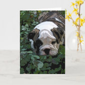 Chiot dans la carte de voeux Pansies (Fleur jaune)