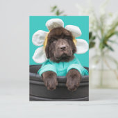 Chiot dans un pot de fleurs carte de voeux (Debout devant)