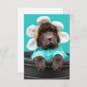 Chiot dans un pot de fleurs carte de voeux (Devant / Derrière)