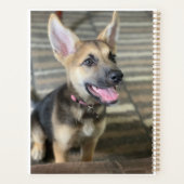 Chiot d'Athéna (Dos)