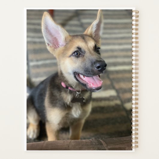 Chiot d'Athéna (Dos)