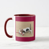 Chiot de Basset Hound de scooter… ! … Tasse de (Gauche)