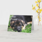 Chiot de berger allemand - carte d'anniversaire (Fleur jaune)
