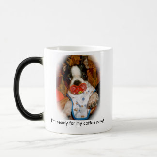 Chiot de Boston avec la tasse de Binky