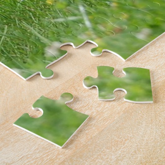 Chiot de Boston Terrier dans le puzzle de pré (Côté)