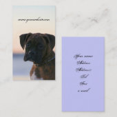 Chiot de boxeur dans des cartes de visite de ciel (Devant / Derrière)