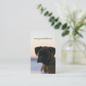 Chiot de boxeur dans des cartes de visite de ciel (Debout devant)