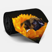 Chiot de boxeur dans la cravate de tournesol (Roulé)