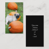 Chiot de carlin dans des cartes de visite de (Devant / Derrière)