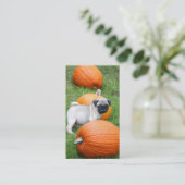 Chiot de carlin dans des cartes de visite de (Debout devant)