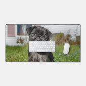 Chiot de Carlin noir (Clavier et souris)