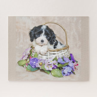 Chiot de Cavachon dans le puzzle de panier