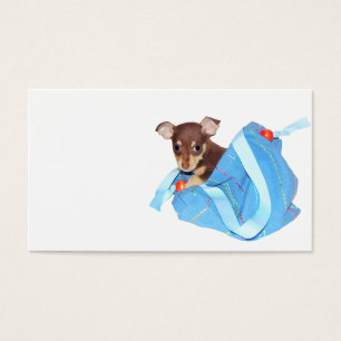 Chiot de chiwawa