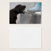 Chiot de Labrador Brown (Devant & derrière)