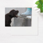 Chiot de Labrador Brown (Bureau)
