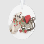 Chiot de Noël - séance anglaise de chiot de (devant)