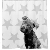 Chiot de Pitbull et rideau en douche d'étoiles (Devant)